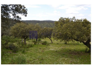 Maisons de campagne à Garrovillas de Alconétar