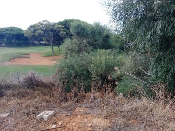 Terrenos en Elviria-Cabopino