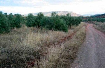 Land in Pantano del Guadalén