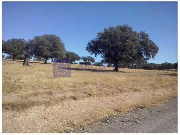 Maisons de campagne à Pedroso de Acim