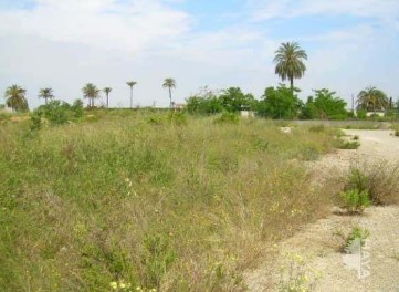 Terrenos en Carcaixent