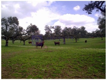 Country homes in Poblado de Iberdrola