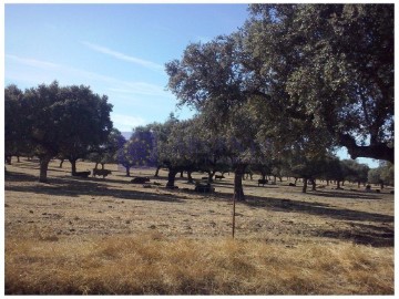 Maisons de campagne à Trujillo