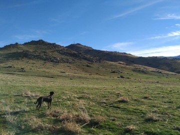 Casas rústicas en Palazuelos de Eresma