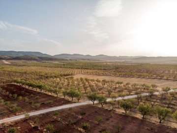 Terreno em Urbanización Valle del Puntal