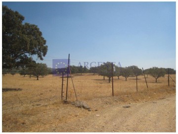 Casas rústicas en Brozas