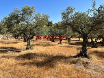 Casas rústicas en Casas de Belvís