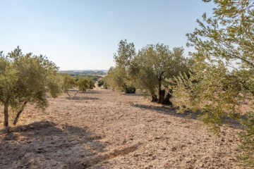 Terrenos en Escúzar