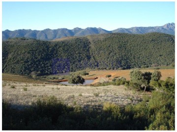 Casas rústicas en Millanes