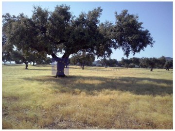 Country homes in La Cumbre