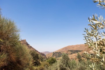 Terre à Canales