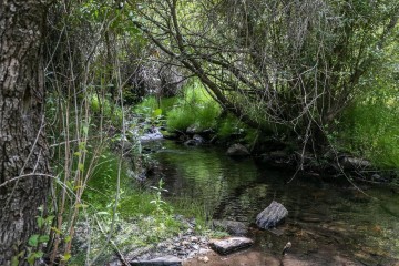 Terrenos en Güejar Sierra