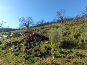Terrenos en Villaharta