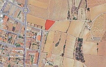 Terrenos en Serra de Dalt