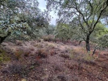 Terrenos en Cerro Muriano