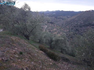 Terrenos en Campiña