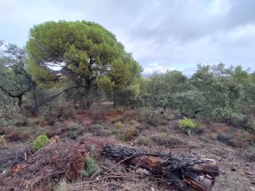 Terrenos en Cerro Muriano