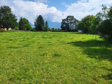 Terrenos en Santa Cruz