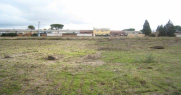 Terrenos en Villamiel de Toledo