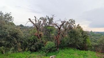 Terrenos en Villa del Prado