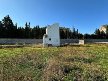 Terrenos en Oliva pueblo