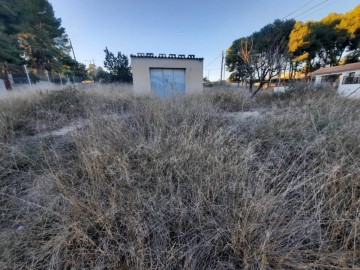 Terrenos en Fondo