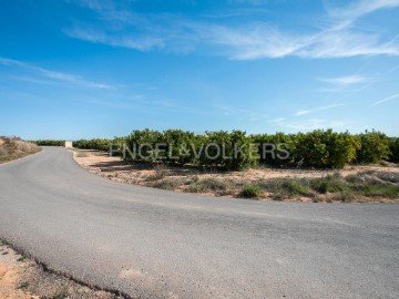 Terrenos en Pedralba