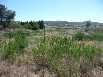 Terrenos en Nuez de Ebro