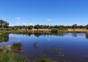 Terre à Garrido