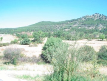 Terrenos en Reajo del Roble