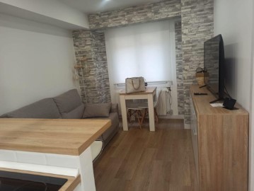 Apartment 1 Bedroom in Plentzia