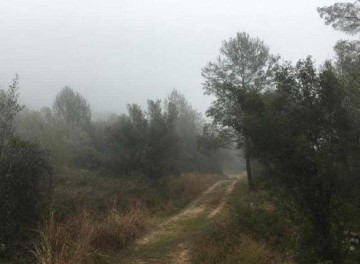 Maisons de campagne à Barx