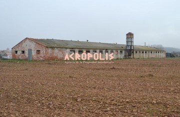 Industrial building / warehouse in La Antigua