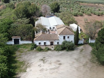 Casa o chalet 3 Habitaciones en Marchena