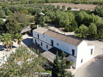 Casa o chalet 8 Habitaciones en Pino Montano