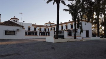 Casa o chalet 13 Habitaciones en Pino Montano