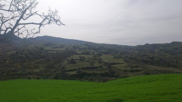 Land in Salinas de Oro