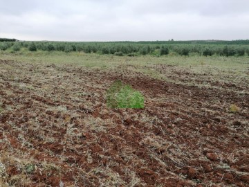 Terrenos en Lacara