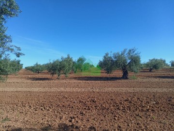 Terrenos en Cortijo del Cura