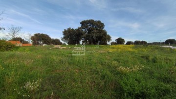 Terrenos en Calvarrasa de Arriba