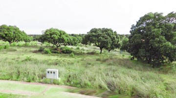 Terrenos en Urbanización Oasis Golf