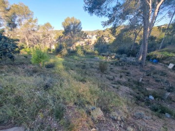 Terrenos en Sant Muç - Castellnou - Can Mir