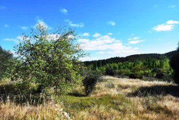 Land in Torre del Compte