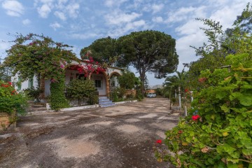 Casas rústicas 3 Habitaciones en Bonares