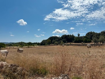 Casas rústicas en Artà