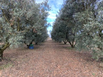 Terrenos en Villamayor de Gállego