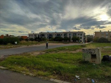 Terre à Barrio magdalena