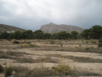 Terrenos en Villamontes-Boqueres