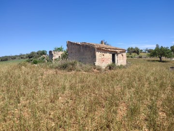 Terre à Vilafranca de Bonany