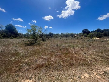 Terrenos en Arens de Lledó